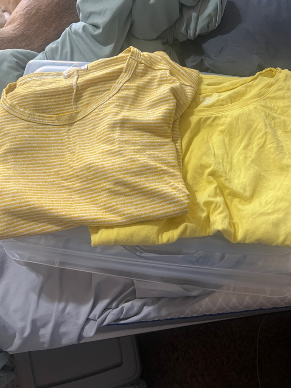 Bright Yellow Tee and Striped Yellow Tee Set